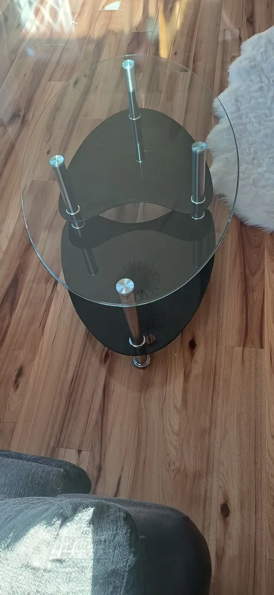 Oval Glass Coffee Table - Image 1