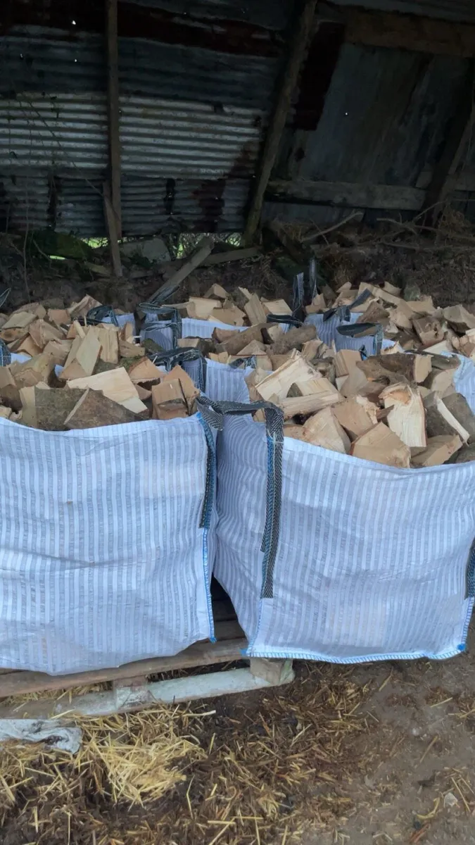 🔥🔥 Ash firewood 🔥🔥 - Image 2