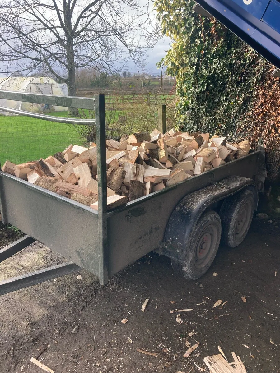 Firewood - Image 2
