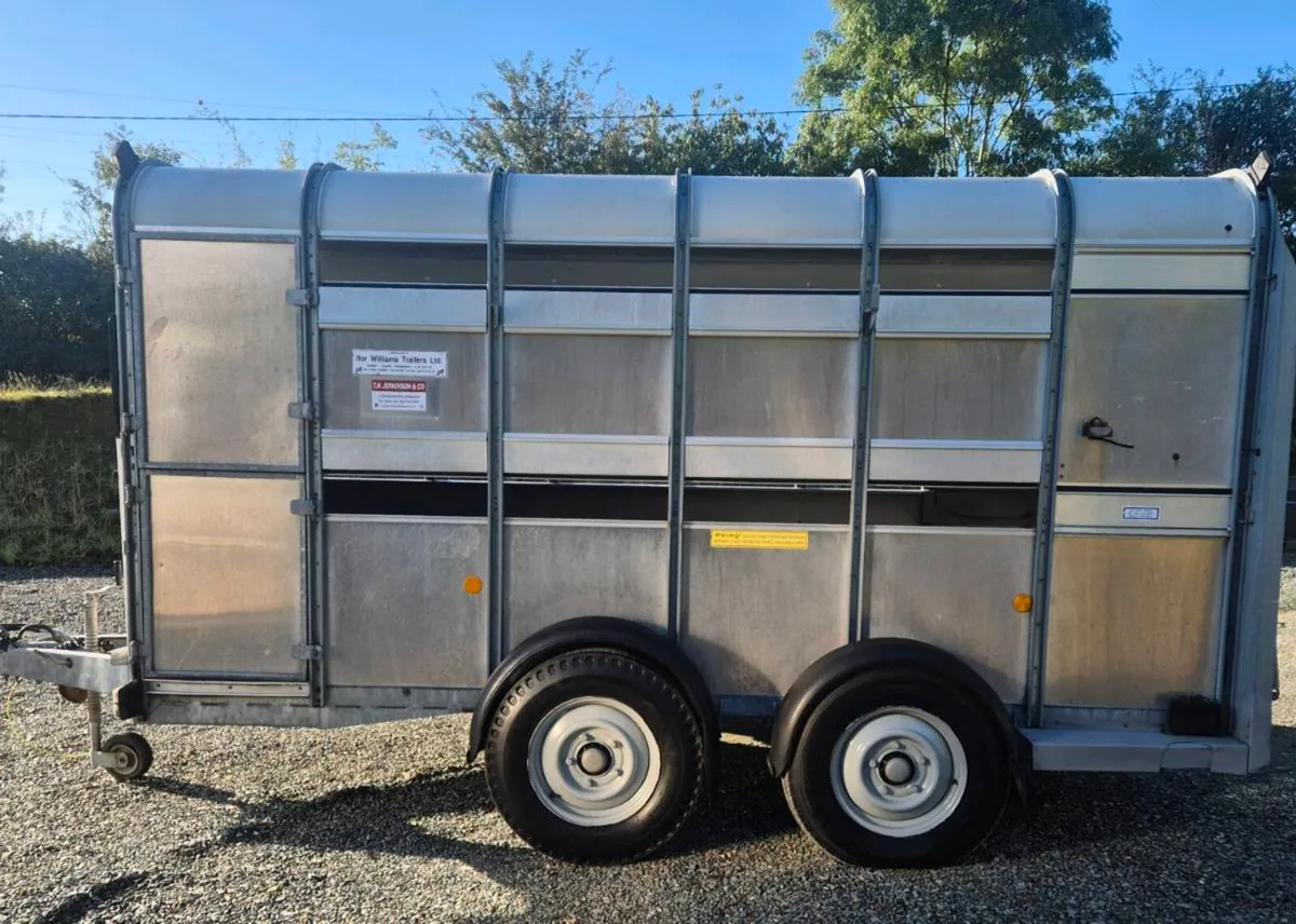 Ifor williams 12 x 6 cattle/sheep trailer - Image 4