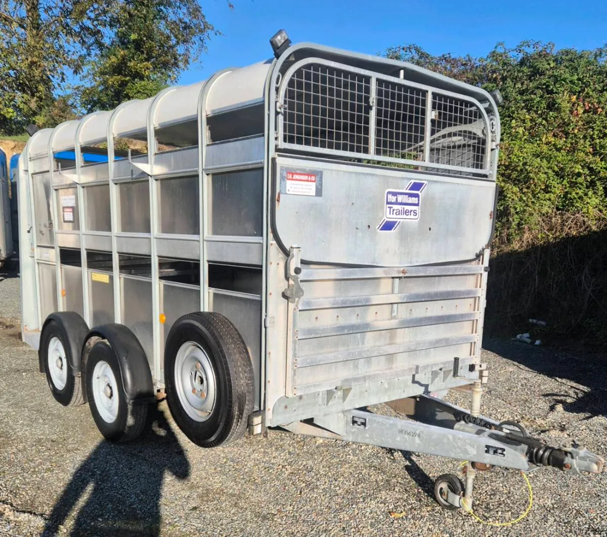Ifor williams 12 x 6 cattle/sheep trailer - Image 1