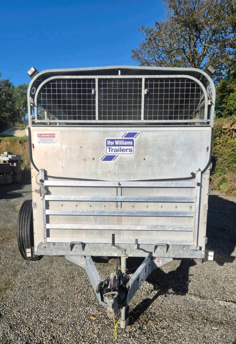 Ifor williams 12 x 6 cattle/sheep trailer - Image 2