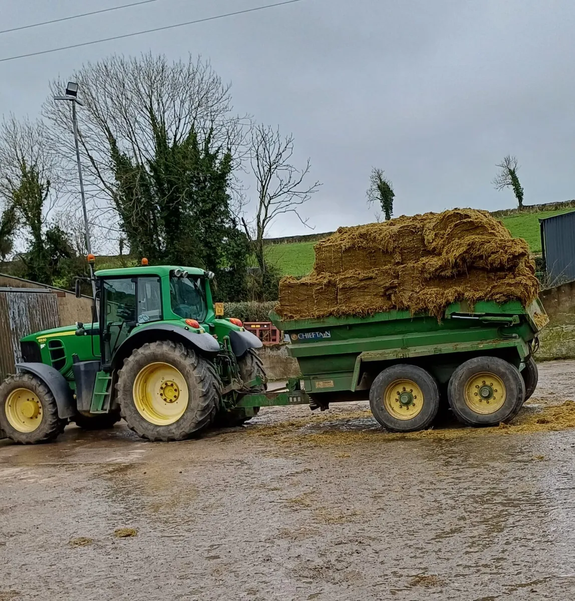 Top Quality 1st cut Pit Silage & Bales - Image 1