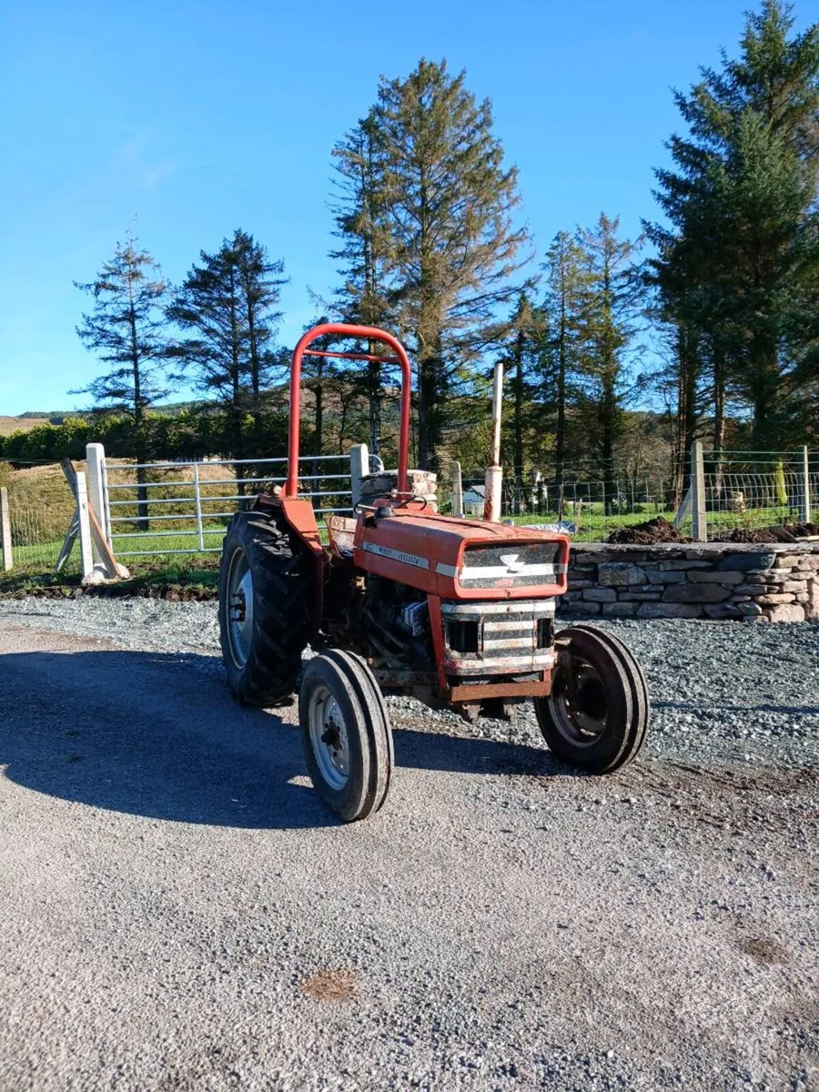 Massey 135 - Image 2