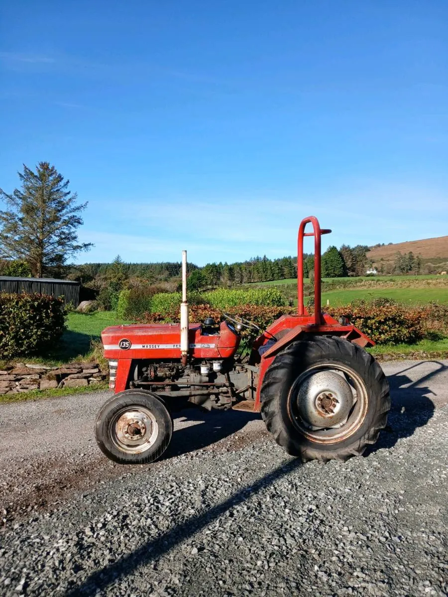 Massey 135 - Image 3
