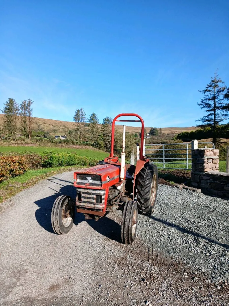 Massey 135 - Image 1