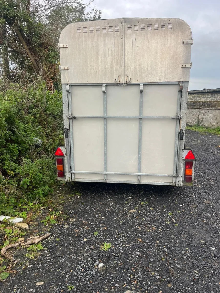 Horse Box - Image 4
