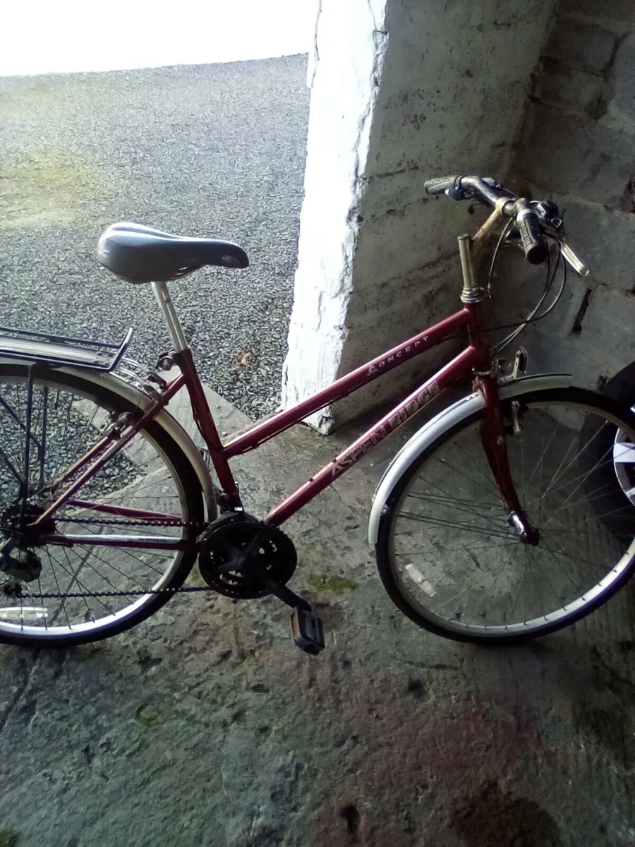 Bicycle - Image 1