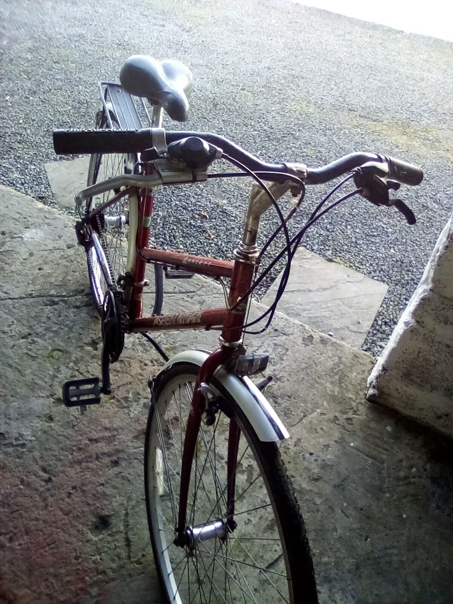Bicycle - Image 4