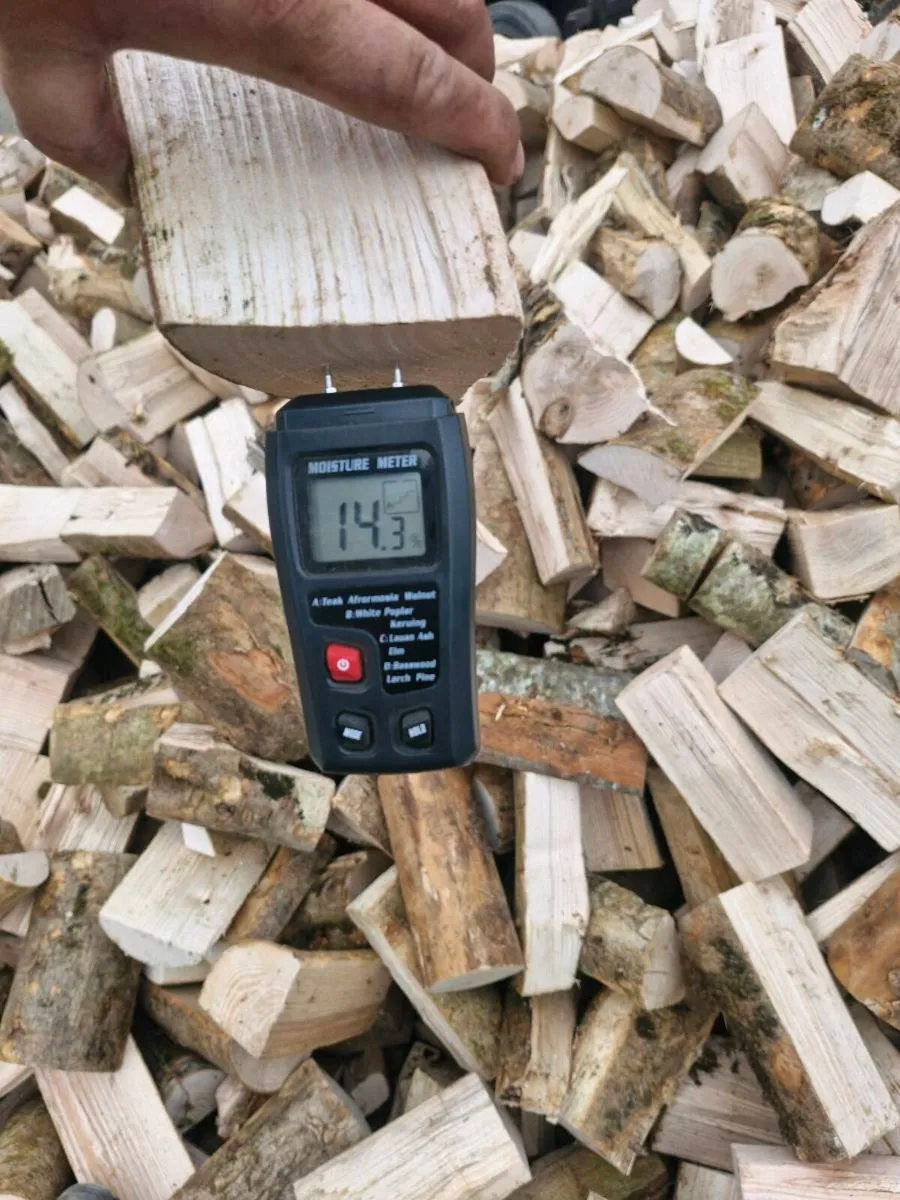 Hardwood / softwood firewood - Image 3