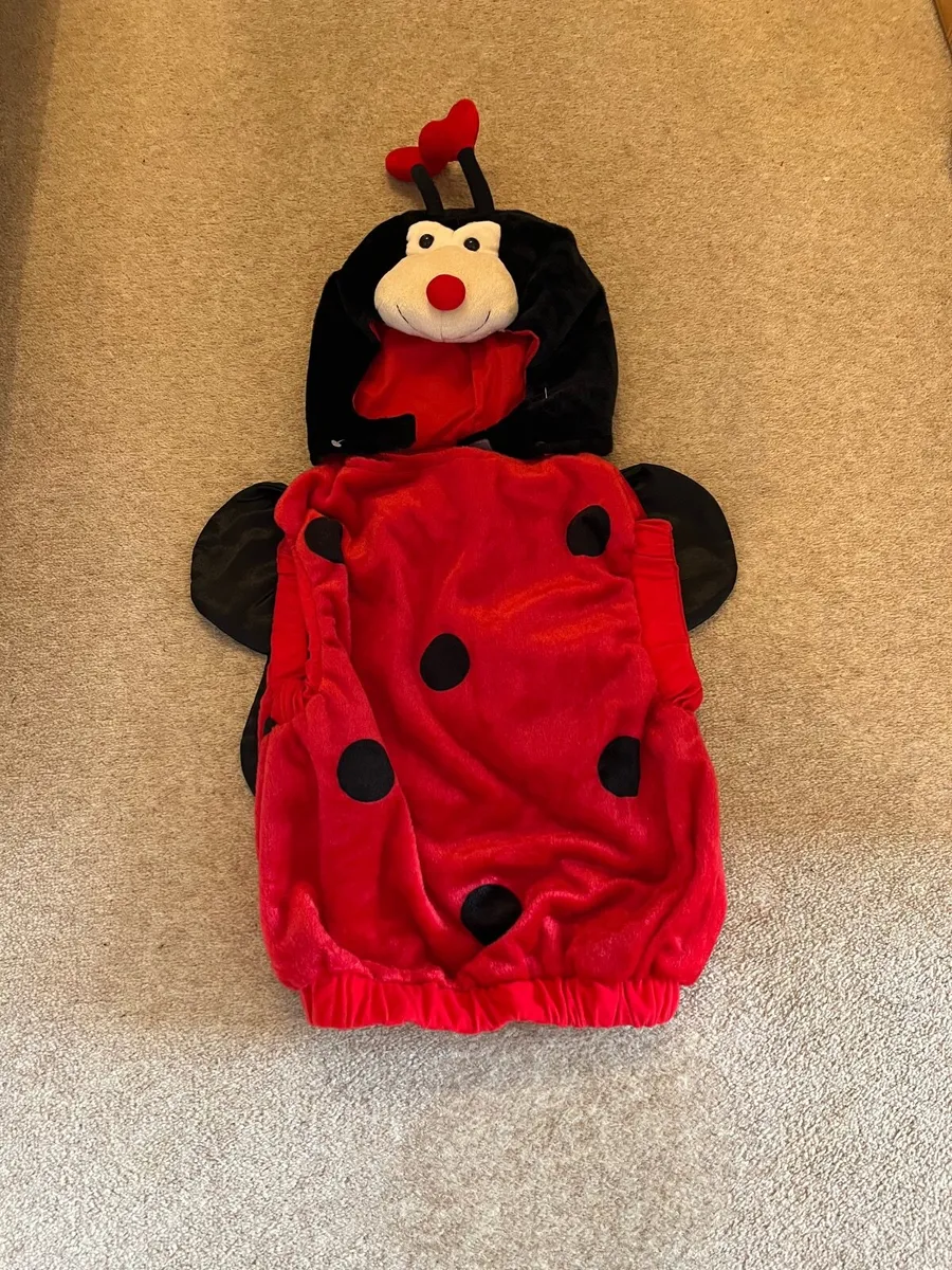 Ladybird costume
