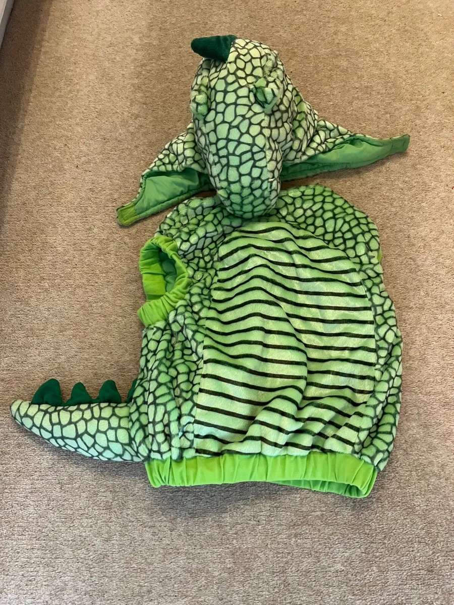 Dinosaur costume