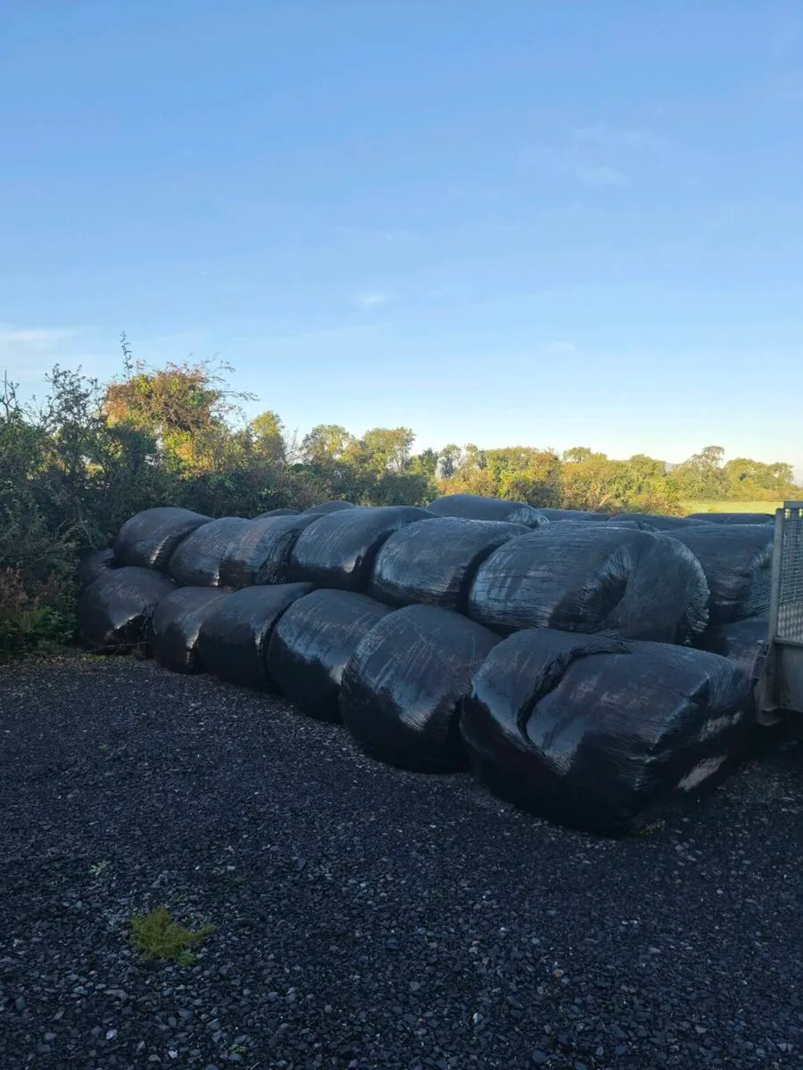 Silage Bales ""New Grass"" - Image 1