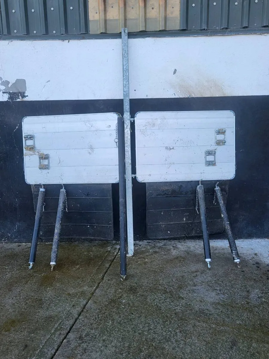 Ifor Williams - Image 2