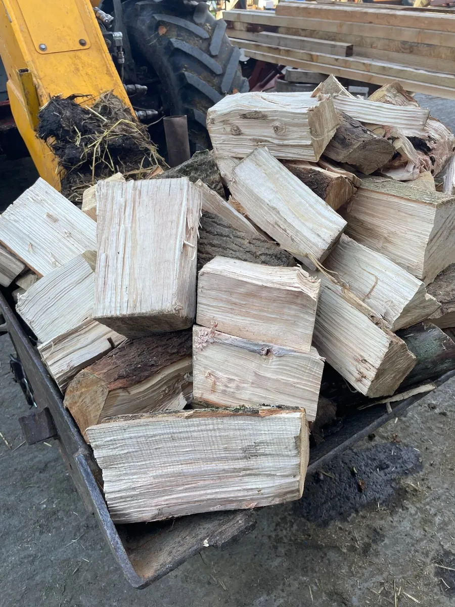 Firewood - Image 2