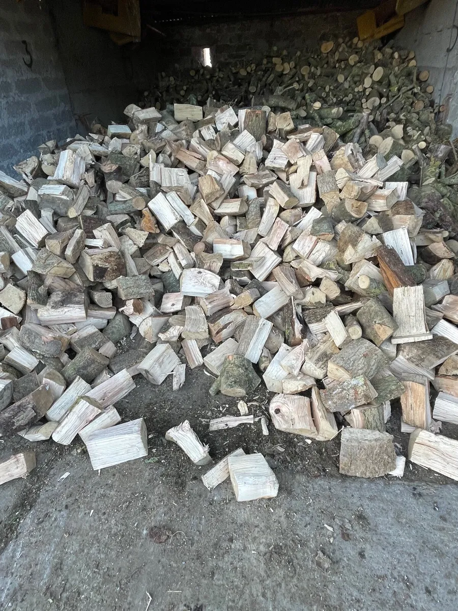 Firewood - Image 3