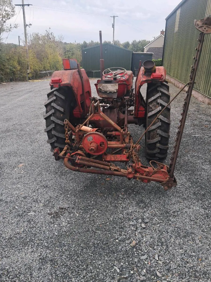 Massey ferguson 135 - Image 4