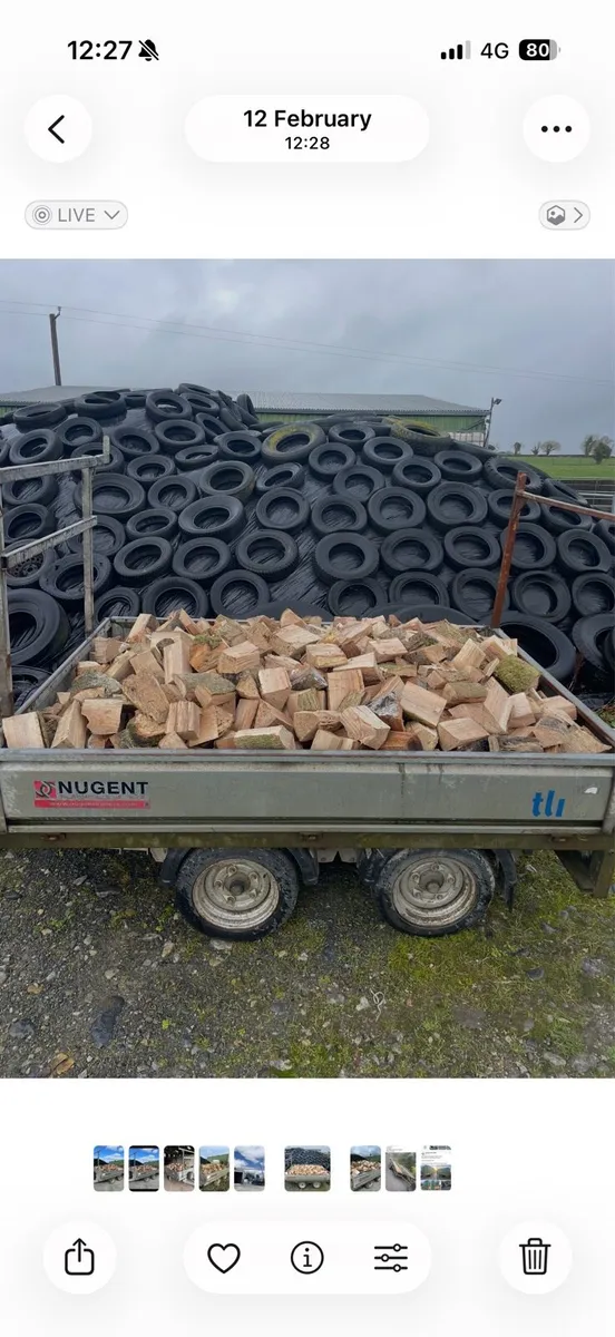 Seasoned timber