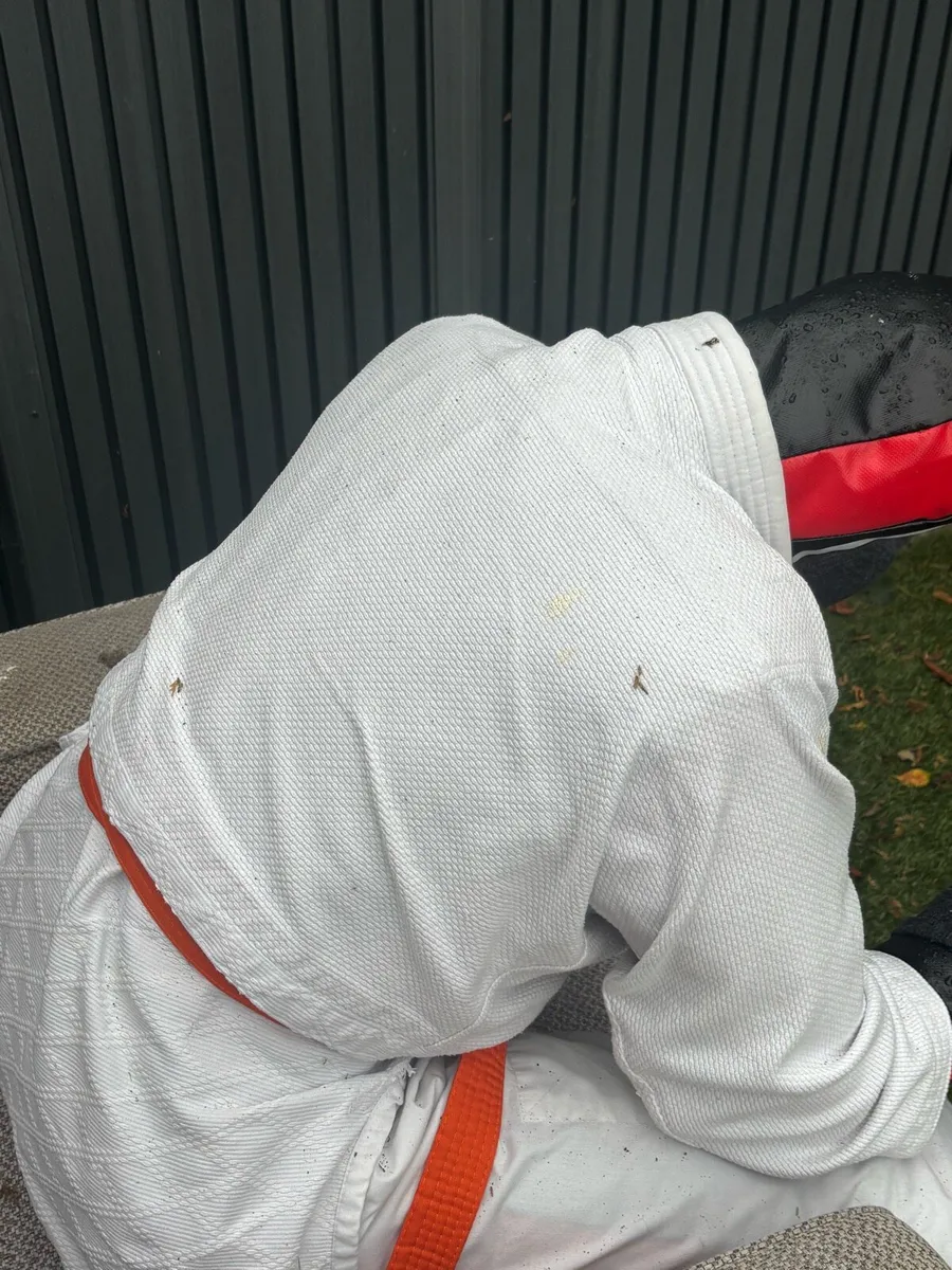 Wrestling Dummy - Image 2
