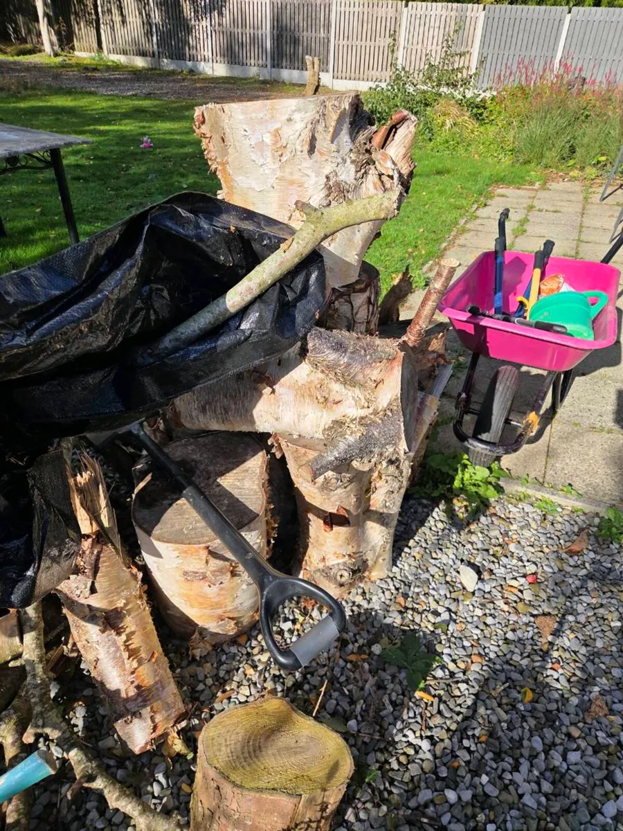 Wood - Image 1