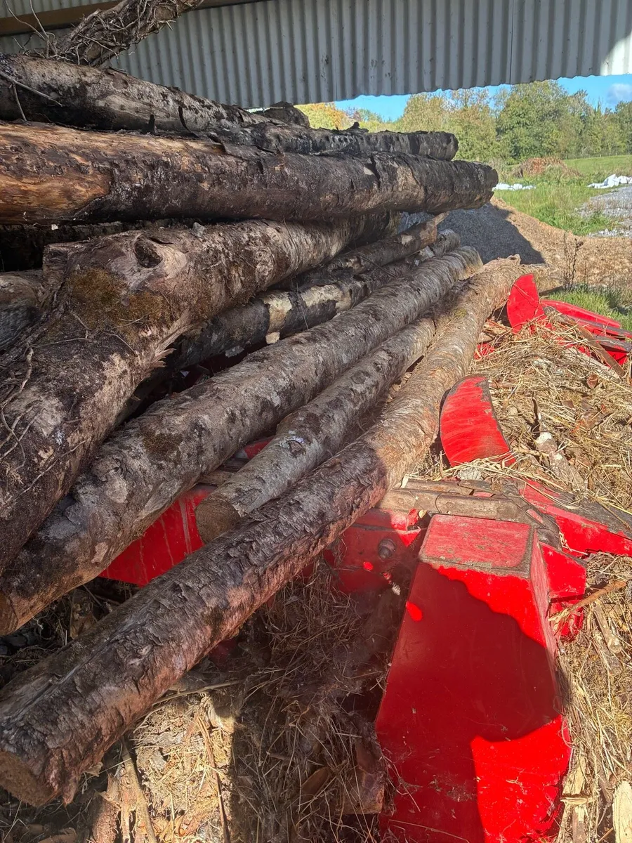 Firewood processor - Image 1