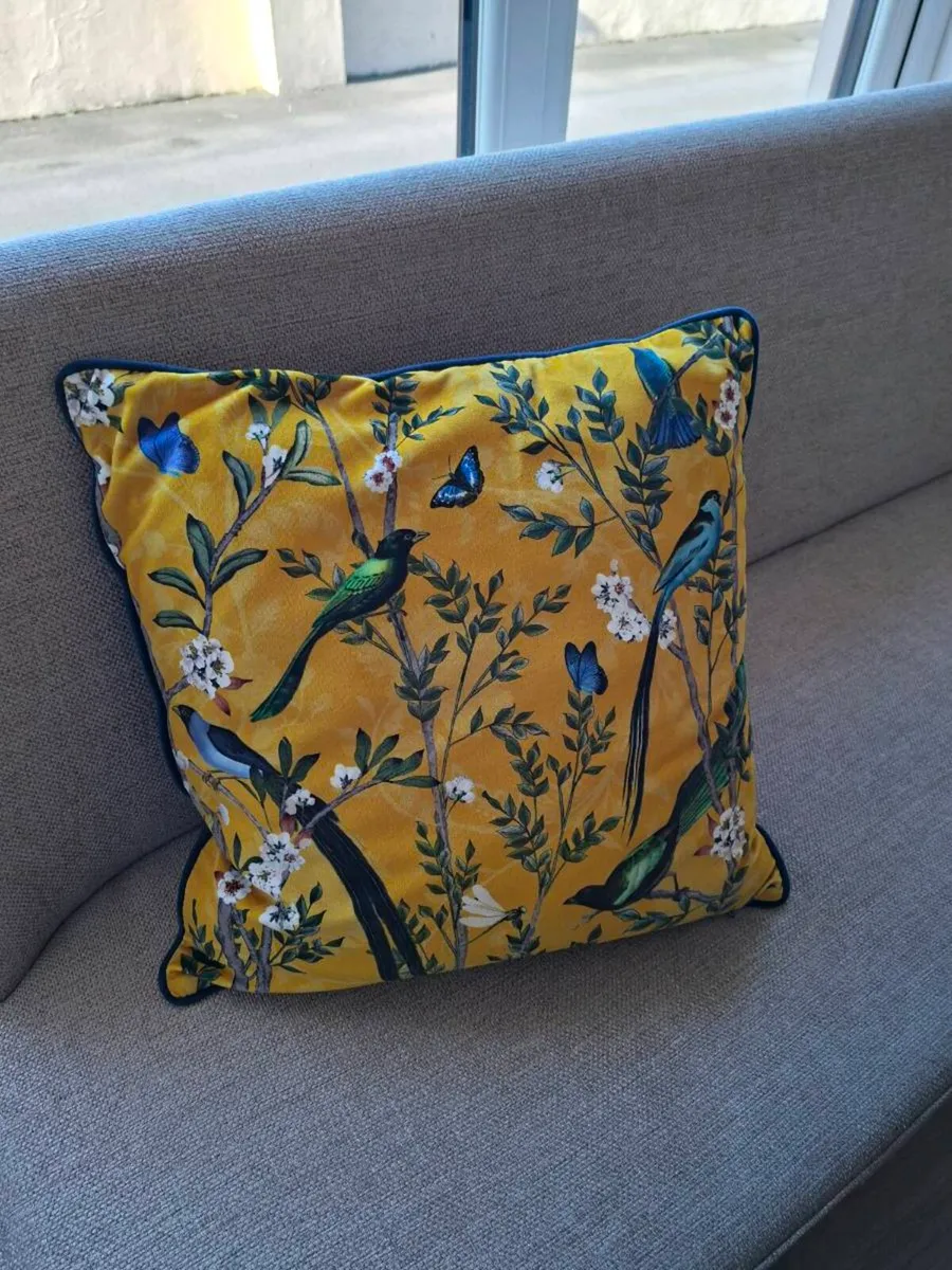 Cushions - Image 1
