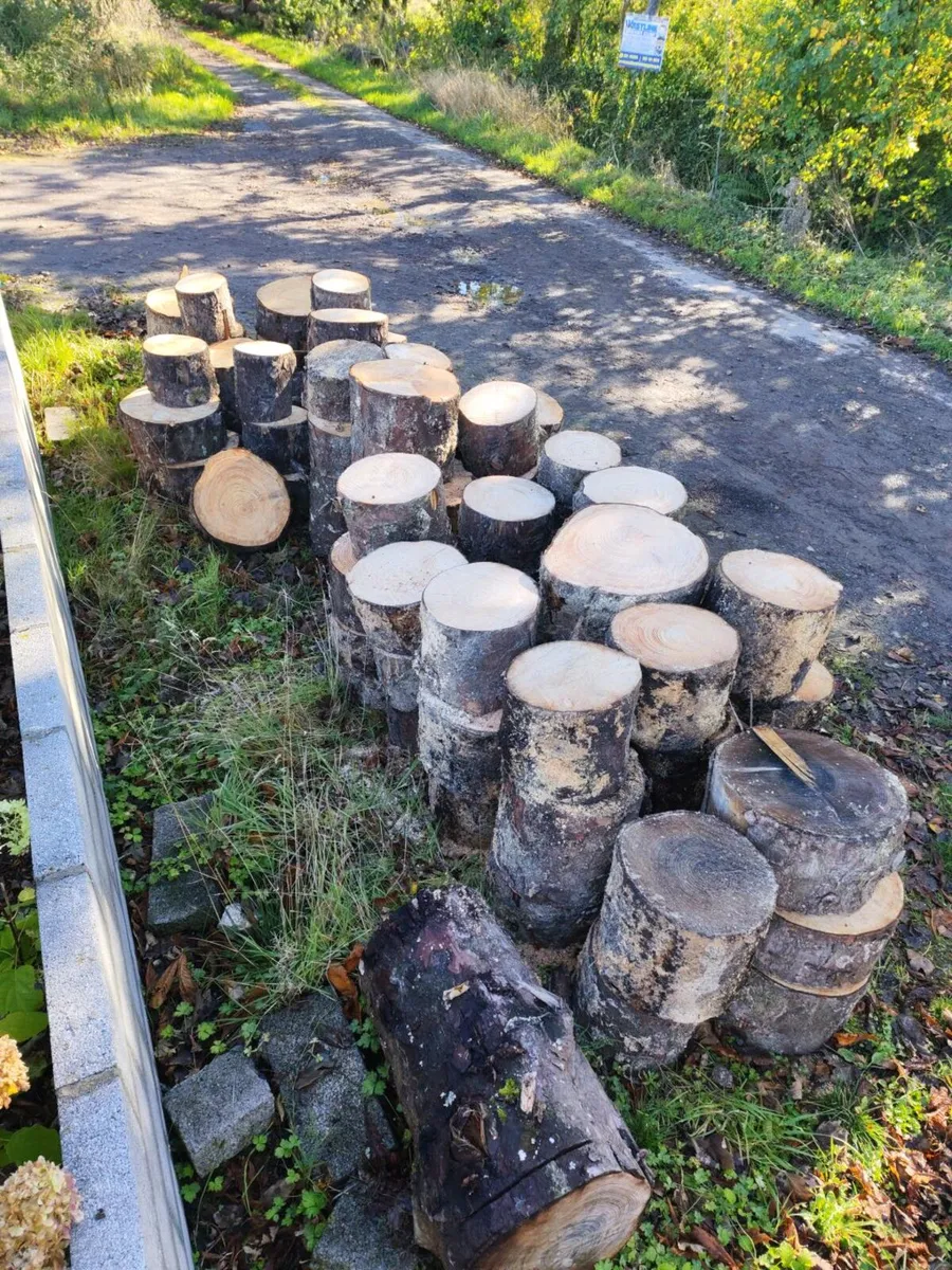 Timber logged for splitting - Image 3