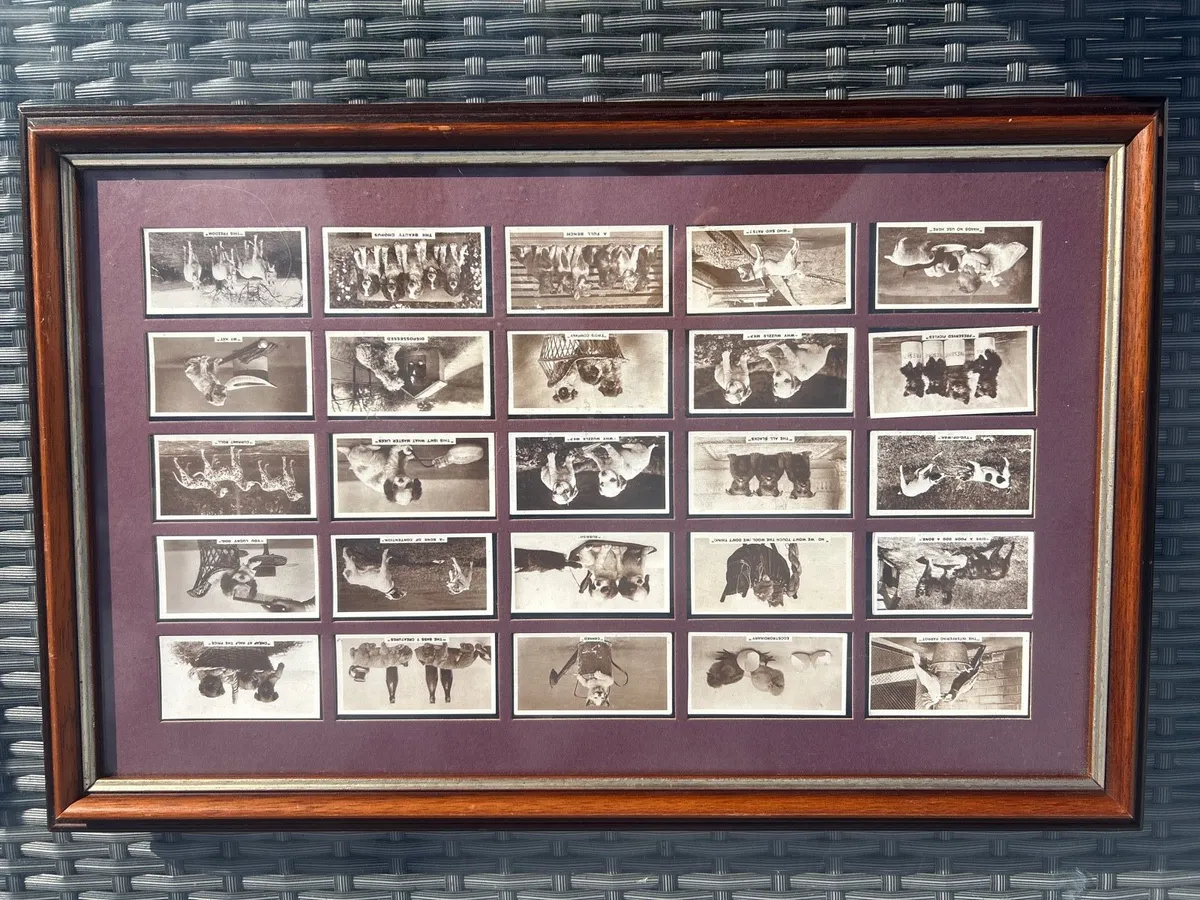 Vintage Framed Cards - J. Millhoff (De Reszke) - Image 4