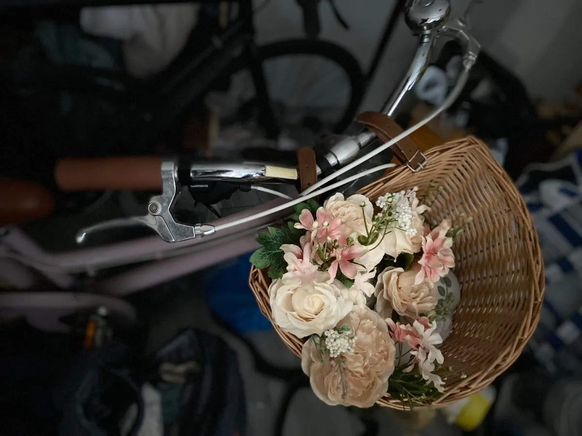 Bike , Dutch bike - Image 4