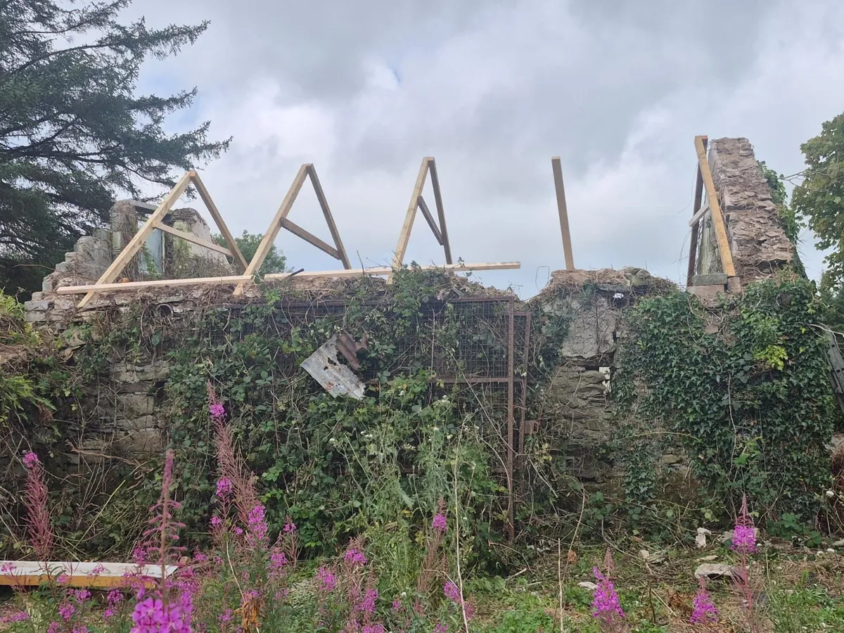 Farm Shed Repairs, Painting, Small Jobs Welcome - Image 2