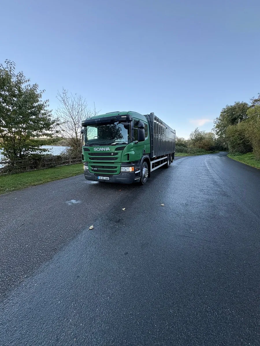 Scania p320 cattle truck - Image 1