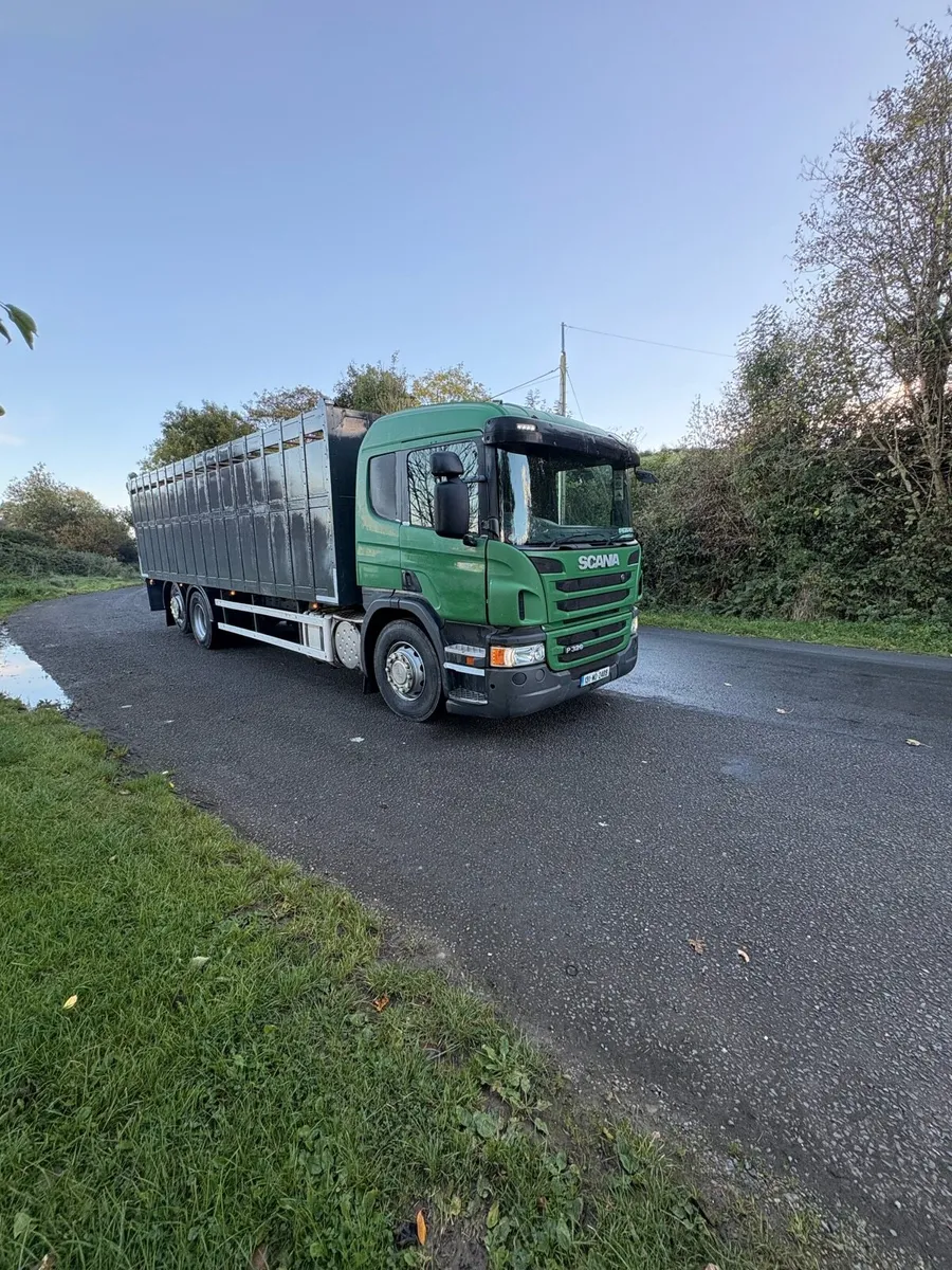 Scania p320 cattle truck - Image 2