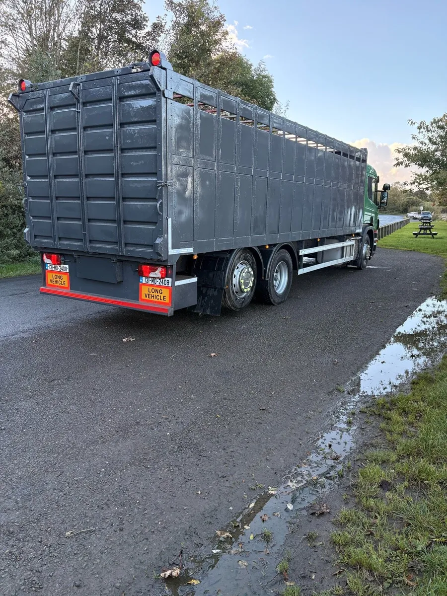 Scania p320 cattle truck - Image 3