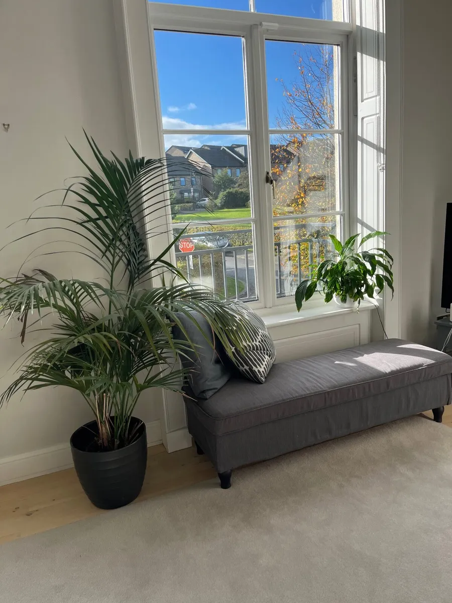 Storage bench seat - Image 2
