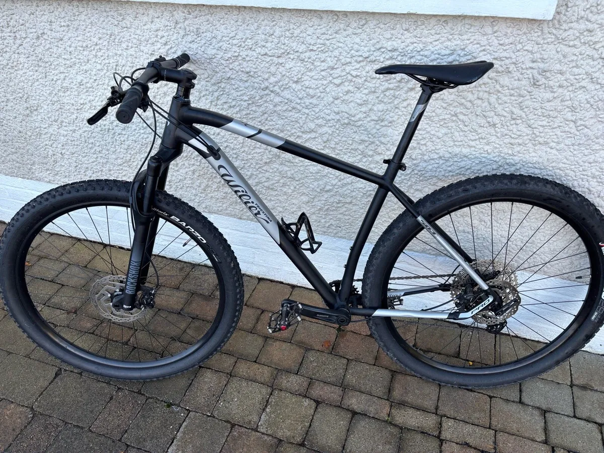 Wilier Triestina Bike - Image 1