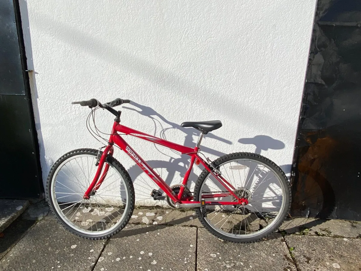 Bicycle - Image 1