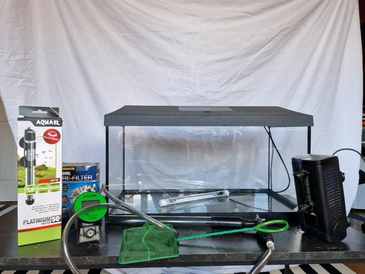 Aquarium/fish tank