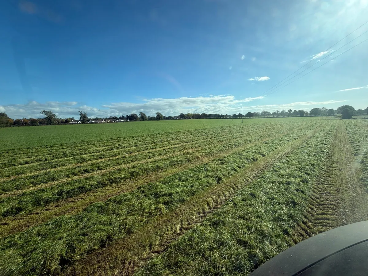 Silage for Sale - Image 4