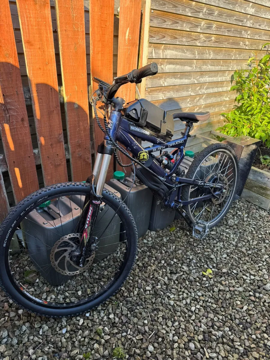 E bike - Image 1