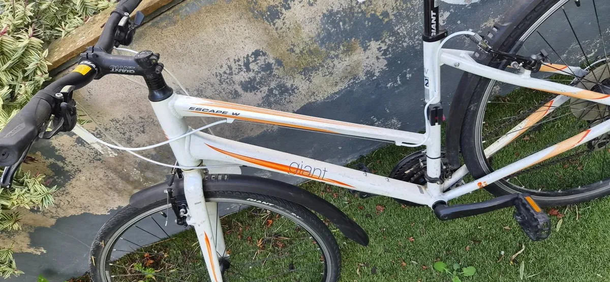 Ladies Giant Escape W 2 Hybrid Bike - Image 4