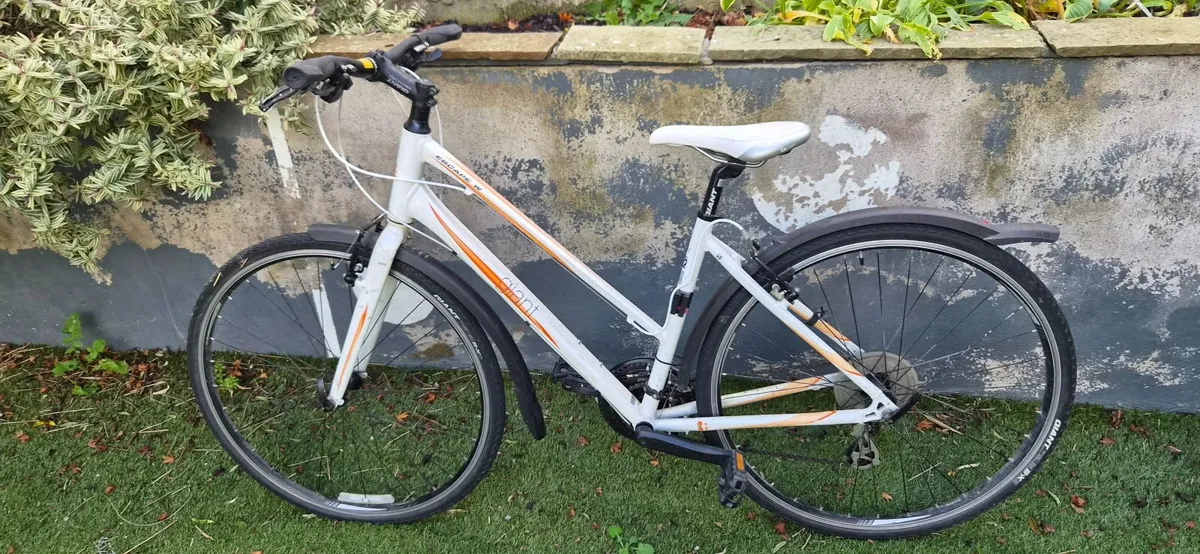 Ladies Giant Escape W 2 Hybrid Bike - Image 1