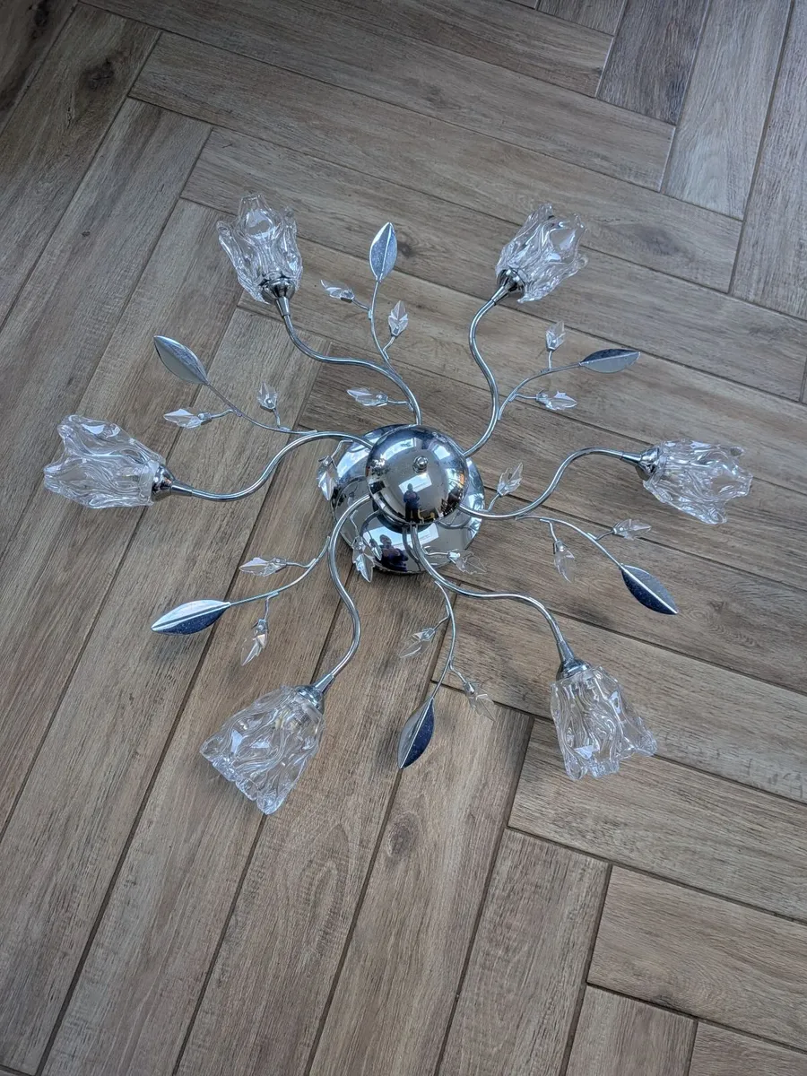 Ornate Ceiling light - Image 3