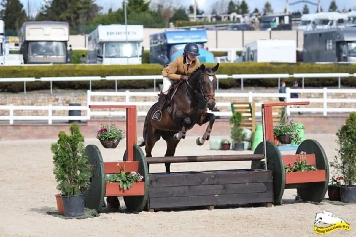 15.2 TB Mare - Image 1