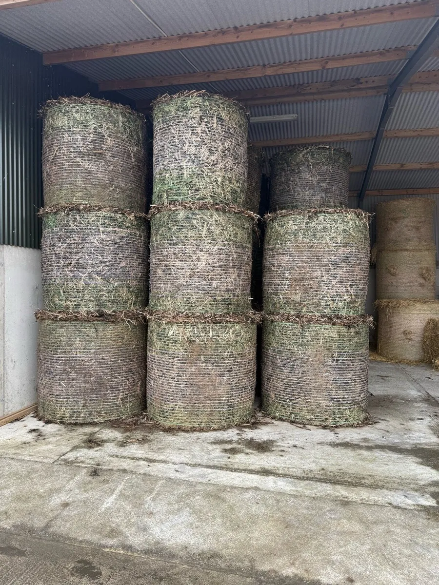 Bean straw bales 20€ per bale