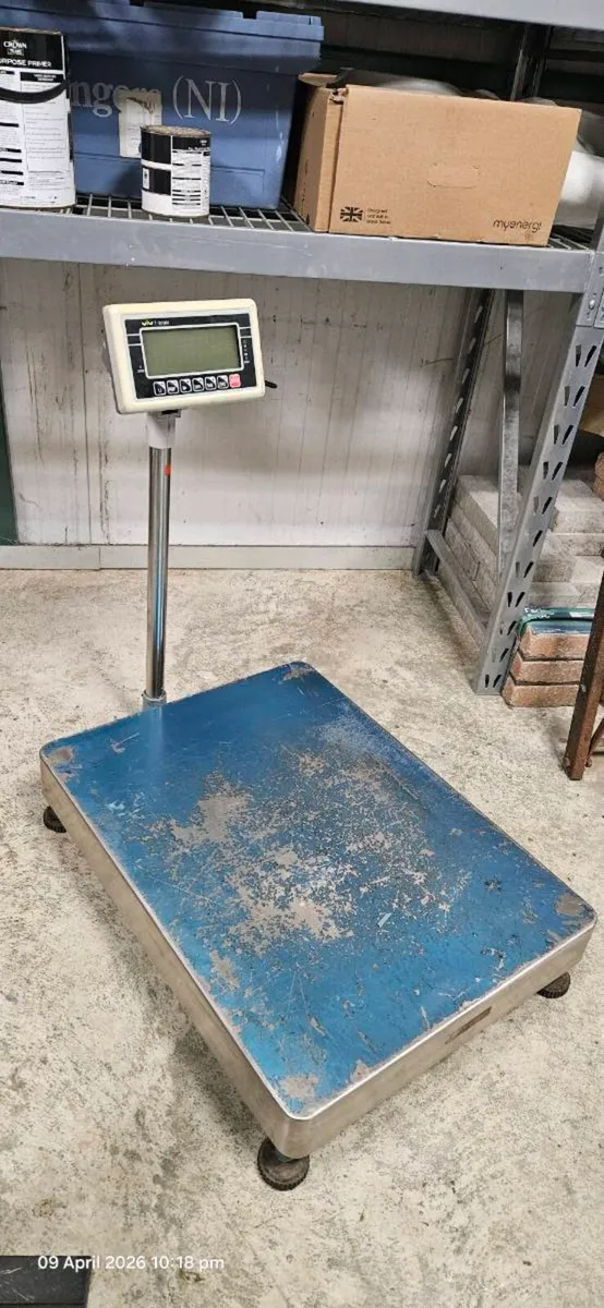 300Kg Platform Scales - Image 3