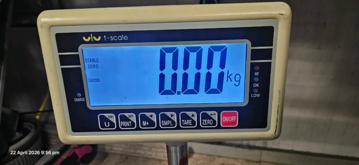 300Kg Platform Scales - Image 1