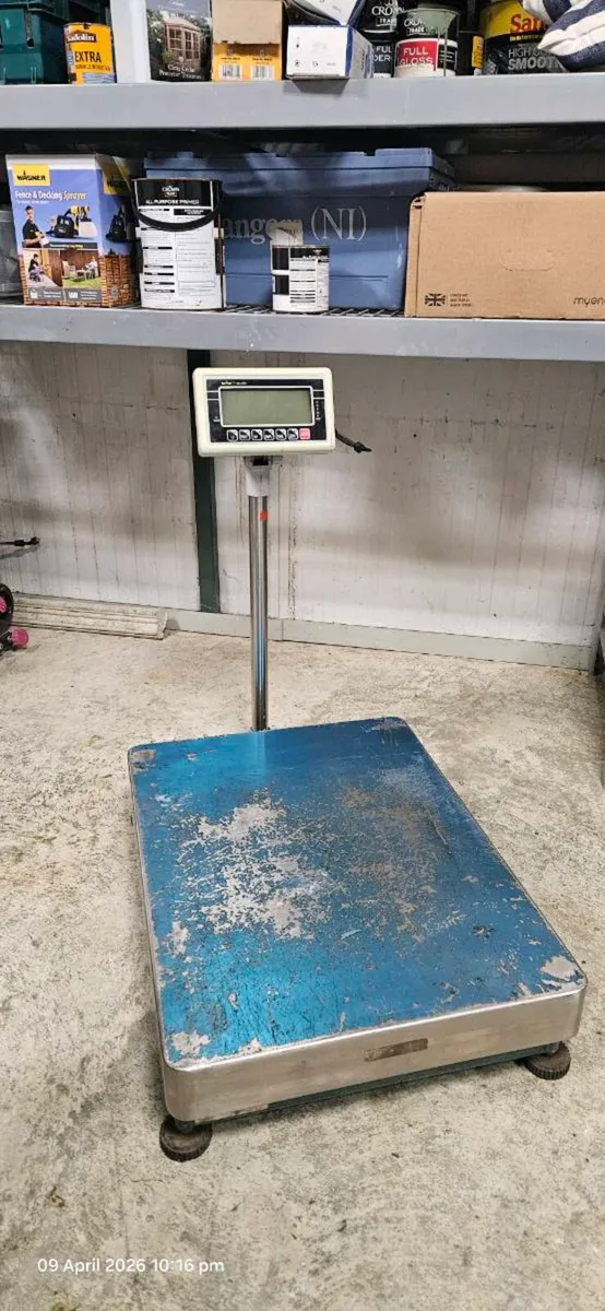 300Kg Platform Scales - Image 2
