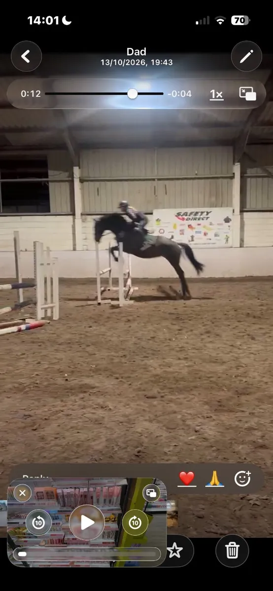 6yo ish mare - Image 3