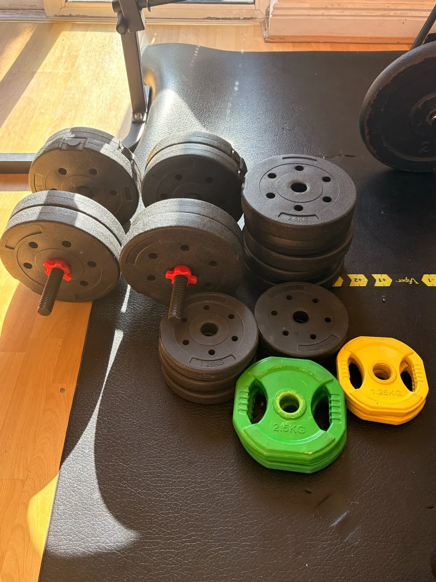 Weights and bench - Image 1
