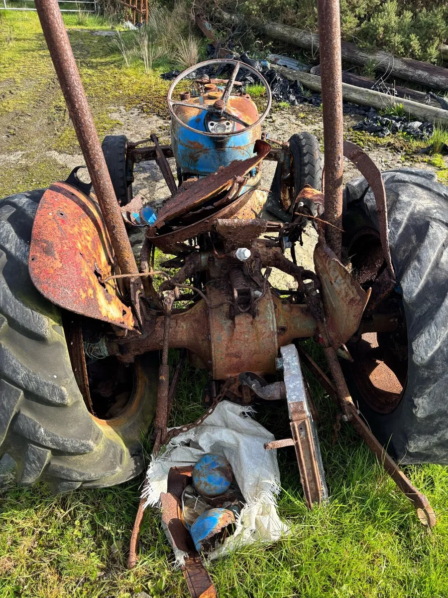 Yard clearance - Image 4